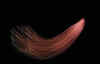 Comet.jpg (54249 bytes)